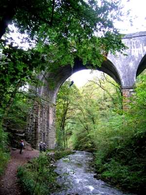 Abseiling from bridge over the River Chee