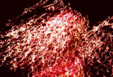 Fireworks photographs