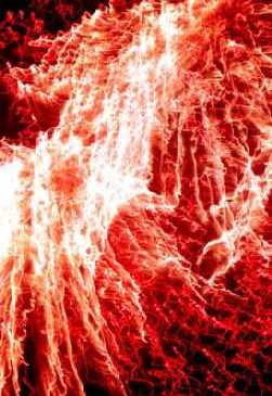 champagne supernova in the sky