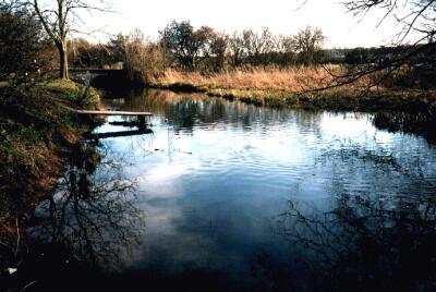 River Lea, Stanborough, Welwyn Garden City, Hertfordshire