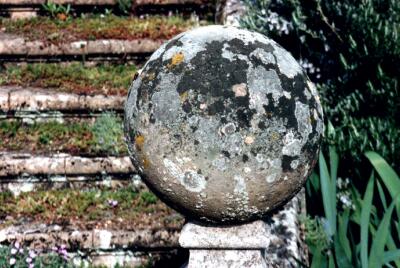Lichen on stone, Benington Gardens, Hertfordshire