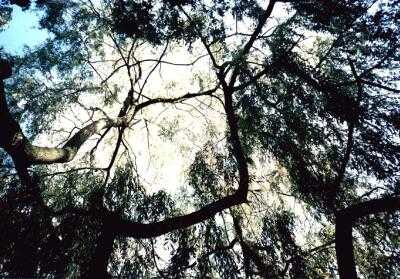 Digswell, Hertfordshire