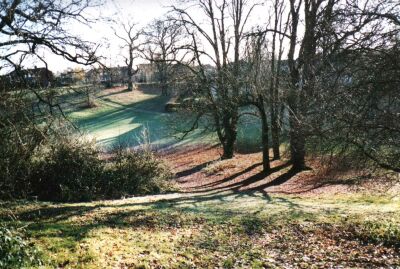 Trees in 'The Dip' Welwyn Garden City, Hertfordshire