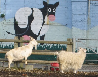 Goat, sheep, and mural, Spitalfields City Farm, East London