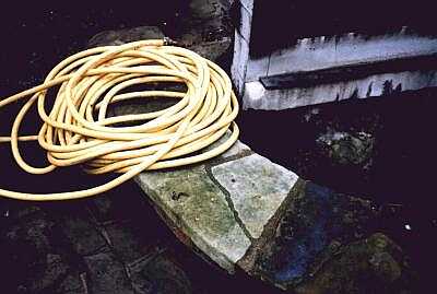 Coiled hose