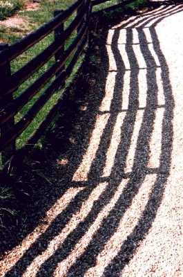 Shadows, Roger Harvey's, Hertfordshire