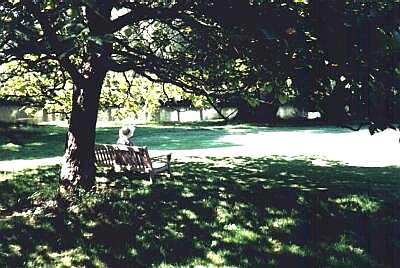 The Vyne garden, Hampshire