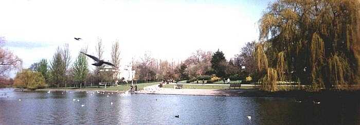 Regent's Park, London