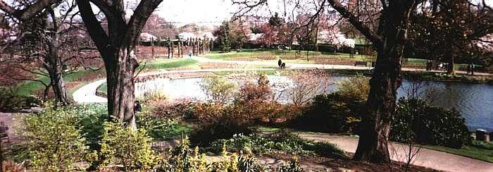 Regent's Park, London