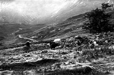 Isle of Skye, near Loch Ainort