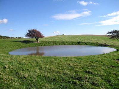 Dew pond on the South Downs