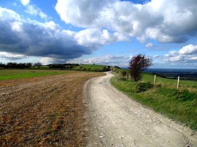 The South Downs Way