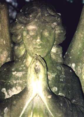 Stone angels, Abney Park Cemetery, Stoke Newington, London