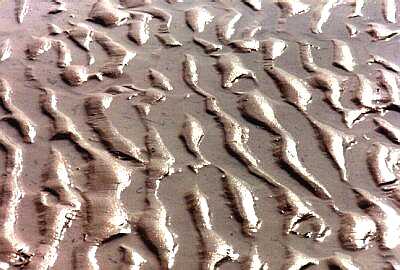 Wave prints, Worthing beach, Sussex