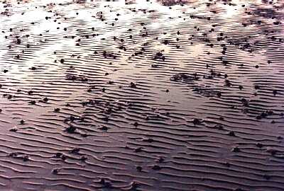 Sand patterns, Worthing beach, Sussex