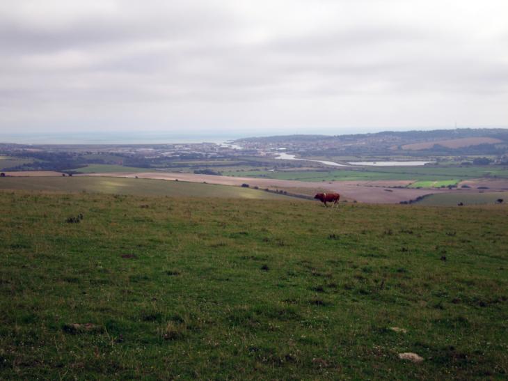 Newhaven from The South Downs Way