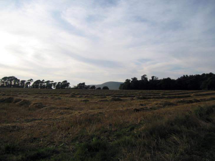 Looking back to The South Downs