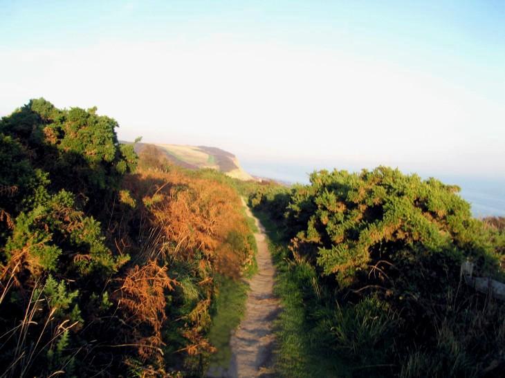 Coastal path near Fairlight